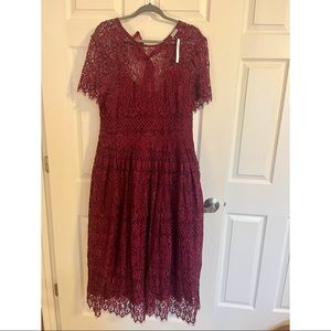 NWT ASOS Lace Dress, Open-Back